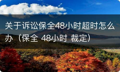 关于诉讼保全48小时超时怎么办（保全 48小时 裁定）