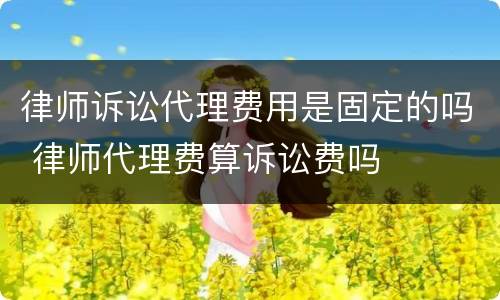 律师诉讼代理费用是固定的吗 律师代理费算诉讼费吗