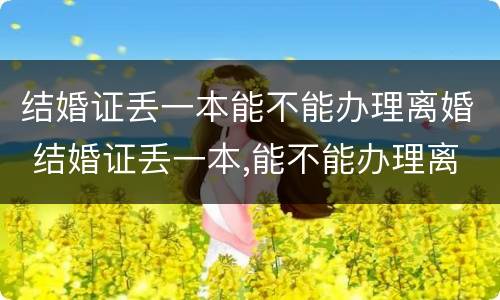 结婚证丢一本能不能办理离婚 结婚证丢一本,能不能办理离婚