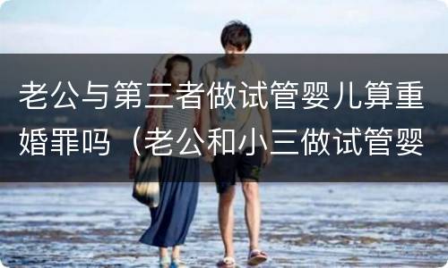 老公与第三者做试管婴儿算重婚罪吗（老公和小三做试管婴儿）