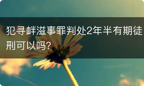 犯寻衅滋事罪判处2年半有期徒刑可以吗？