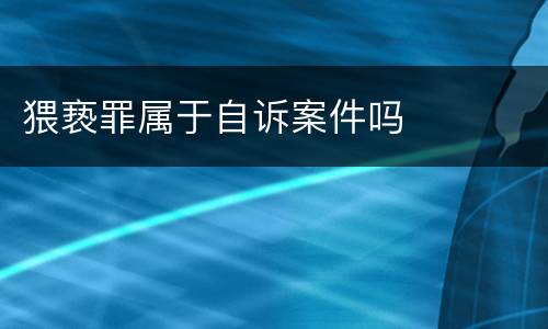 猥亵罪属于自诉案件吗