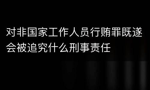 对非国家工作人员行贿罪既遂会被追究什么刑事责任