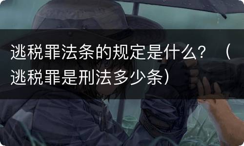 逃税罪法条的规定是什么？（逃税罪是刑法多少条）