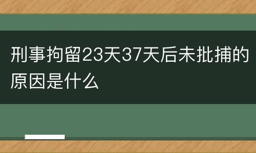 刑事拘留23天37天后未批捕的原因是什么